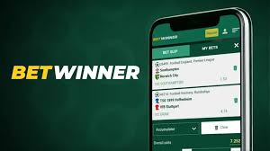BetWinner Online Gambling Platform Experience the Thrill of Betting